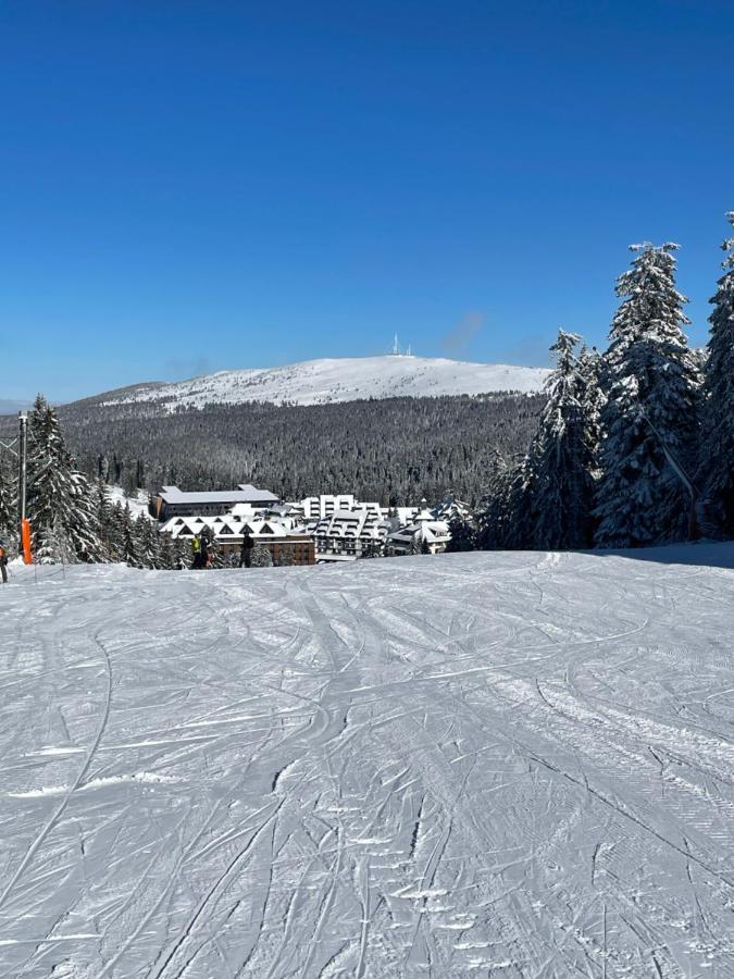 Woodside Apartment 431, Kopaonik - One Separate Bedroom 35M2- Free Parking & Spa エクステリア 写真